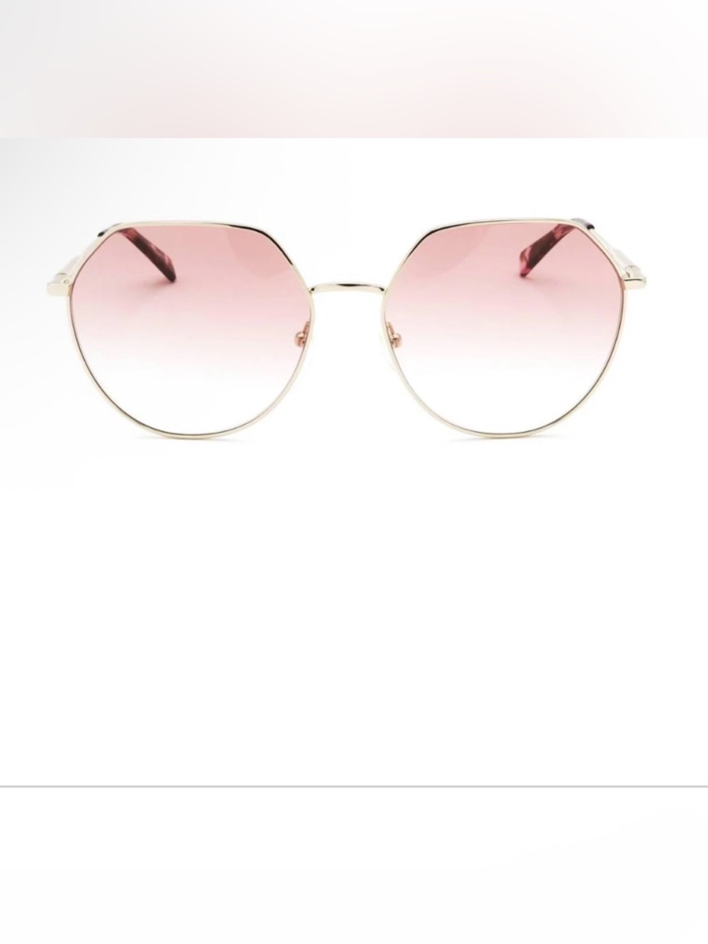 Longchamp Pink Gradient Lens Sunglasses